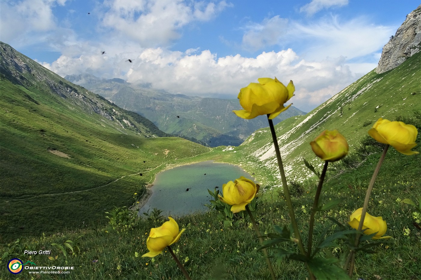 89 Al Passo Branchino (1821 m) vista sul Lago Branchino con botton d'oro.JPG